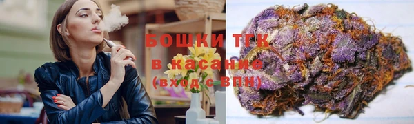 соль ск Бородино