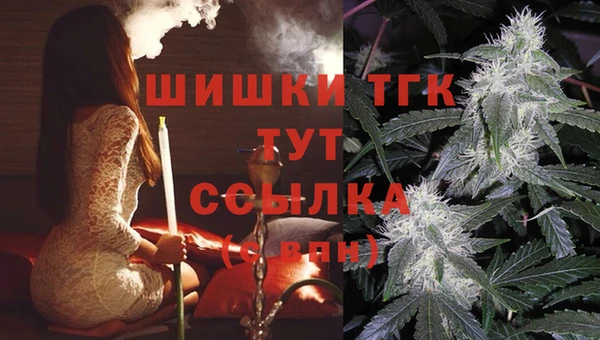 соль ск Бородино