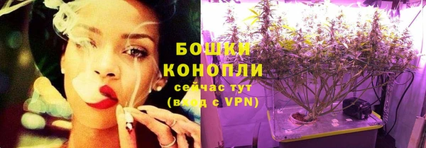 соль ск Бородино