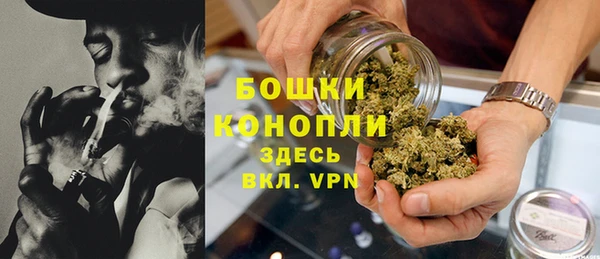 дмт Богородск
