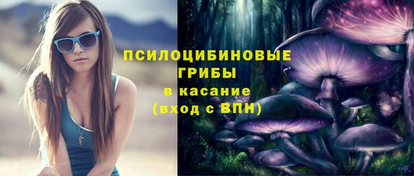 соль ск Бородино