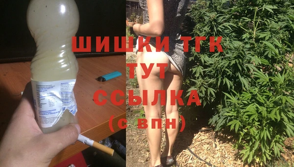 соль ск Бородино