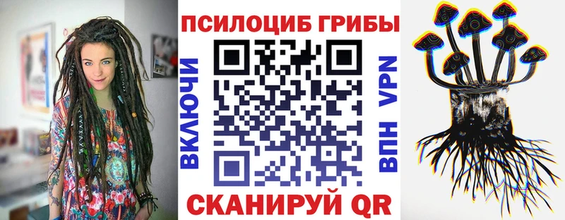 купить наркоту  Далматово  Галлюциногенные грибы Psilocybine cubensis 